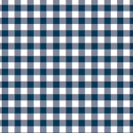 Navy gingham